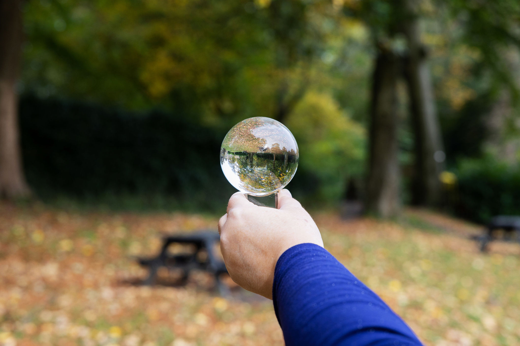 glass ball in outstretched hand reflecting autumn tree